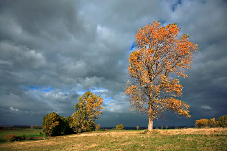 Autumn Storm | Airlines UK